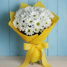 Букет цветов из:  Хризантемы в Александровке Воронежской области