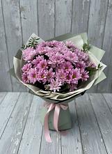 Букет цветов из:  Хризантемы в Александровке Воронежской области