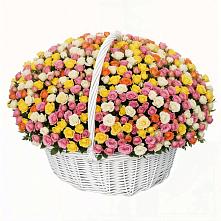 Премиум букет из: Розы в Александровке Воронежской области