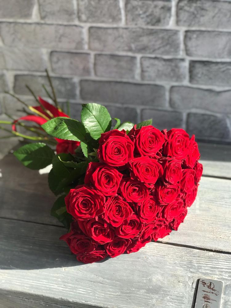 Букет Красные розы Фридом в Александровке Воронежской области