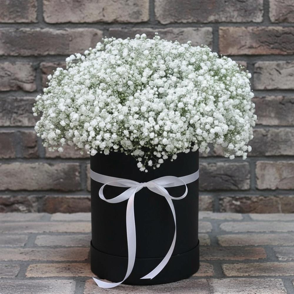 Цветочная композиция из Гипсофила в шляпной коробке в Александровке Воронежской области