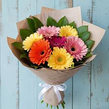 Букет цветов из:  Герберы в Александровке Воронежской области