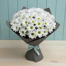 Букет цветов из:  Хризантемы в Александровке Воронежской области