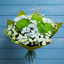 Букет цветов из:  Хризантемы в Александровке Воронежской области