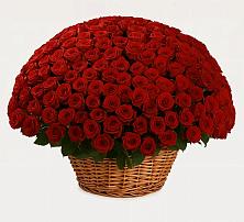 Премиум букет из: Розы #REPLACE_PRED# Александровке Воронежской области