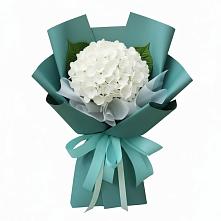 Букет цветов из:  Гортензия в Александровке Воронежской области